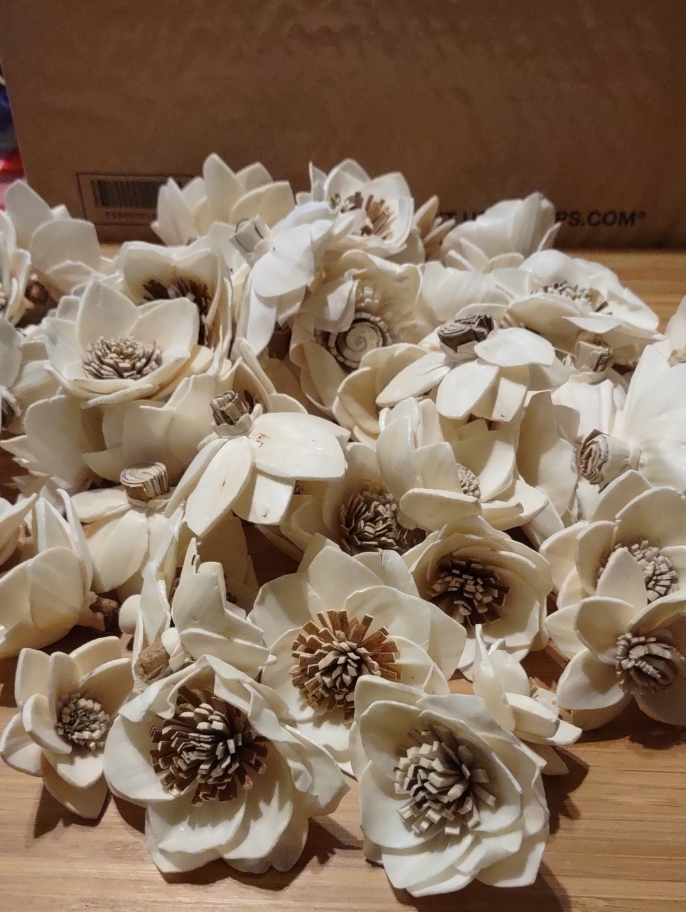 Cream Decorative Sola Wood Flower Accents 66 Flowers